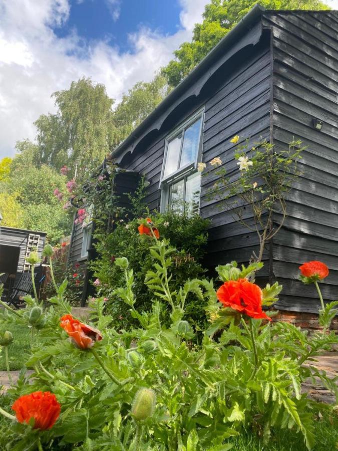 Thompsons Cottage เบเวอร์ลีย์ ภายนอก รูปภาพ