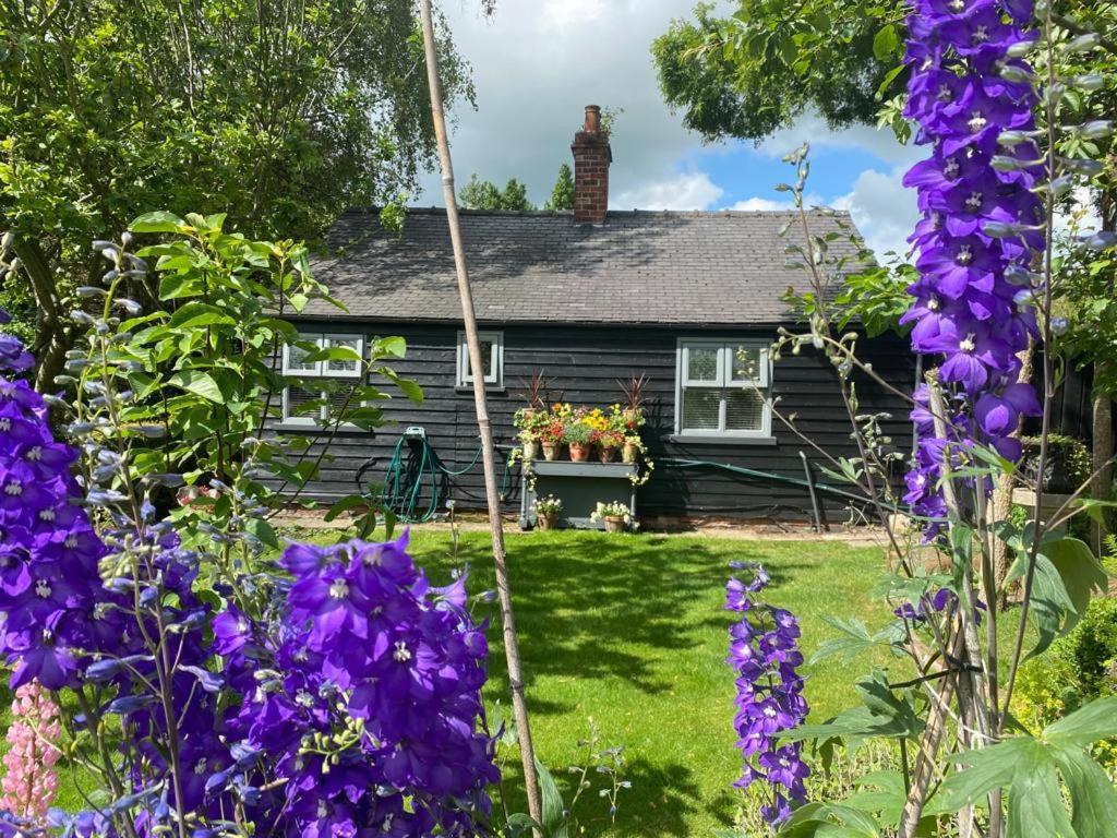 Thompsons Cottage เบเวอร์ลีย์ ภายนอก รูปภาพ