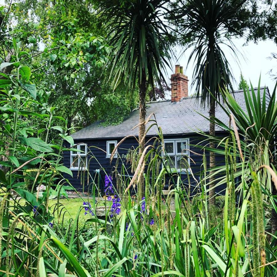Thompsons Cottage เบเวอร์ลีย์ ภายนอก รูปภาพ